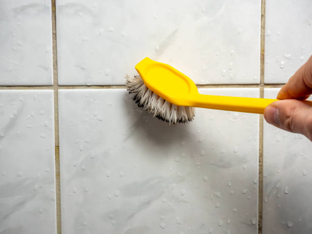 Certified Mold Removal in Mundelein, IL