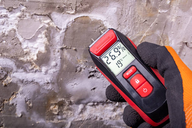 Best Mold Remediation  in Mundelein, IL