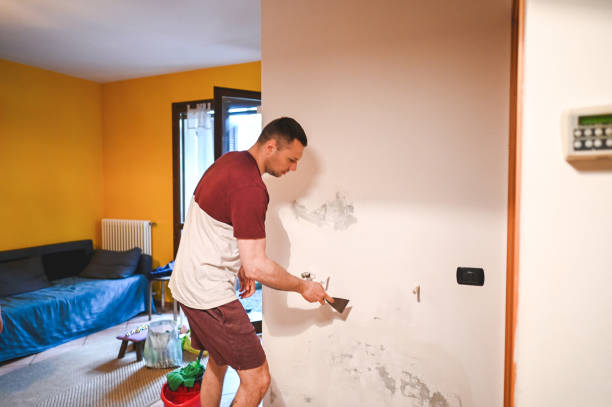 Best Best Mold Removal Companies  in Mundelein, IL